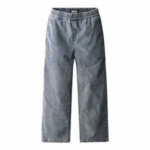 Pantalone grigio in velluto a costine per neonato e bambino