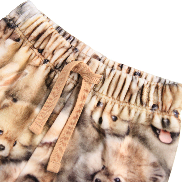 Pantalone in velluto con stampa all over per neonata