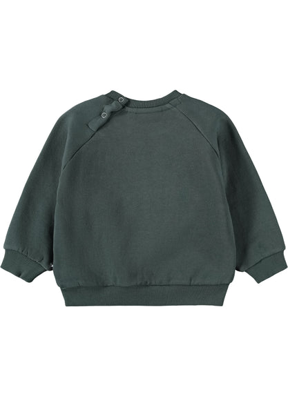 Felpa verde bosco per neonato Molo DISC 5721 