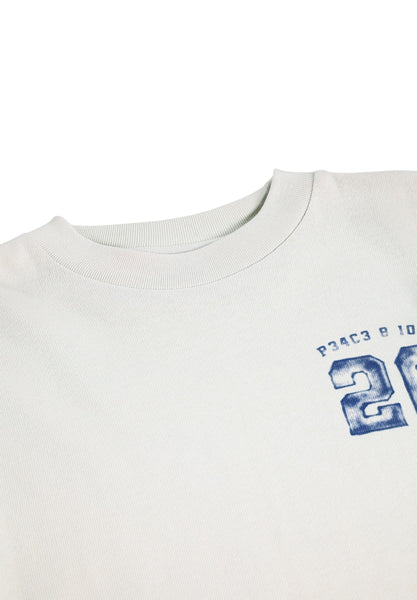 T-shirt grigio chiaro con stampa per bambino Molo RENTON 9798 