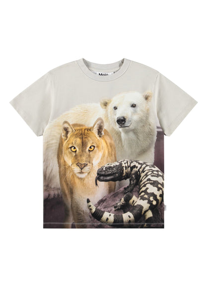 T-shirt beige con stampa per bambino Molo RILEY 9933 