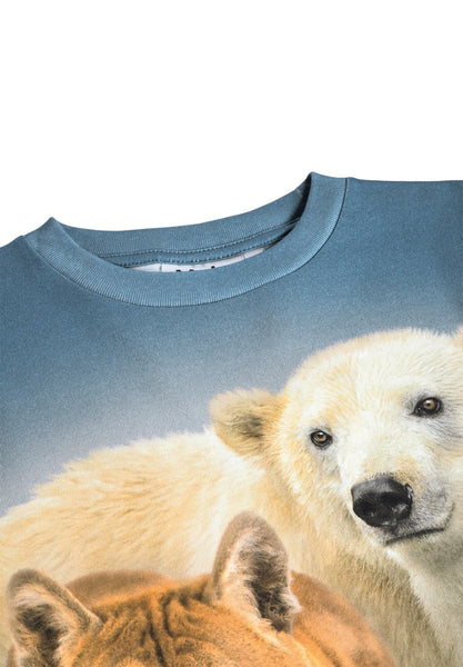 T-shirt avio con stampa per bambino Molo RUBE 9932 