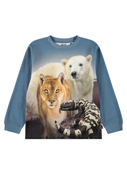 T-shirt avio con stampa per bambino Molo RUBE 9932 