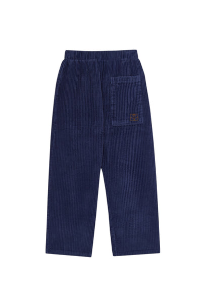 Pantalone a costine blu per bambino The Campamento TC-AW26-86 BLUE 