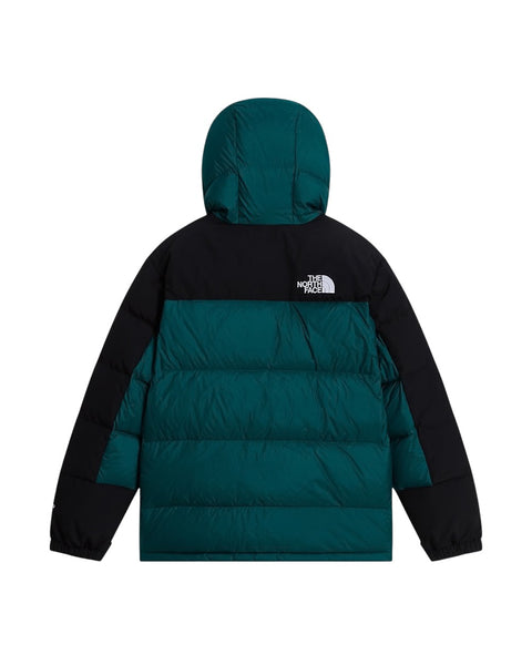 Piumino nero e verde con logo per bambino The North Face NF0A88UYN4J1 N4J1 