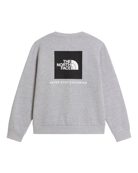 Felpa grigio per bambino The North Face NF0A8F9WCQO1 CQO1 
