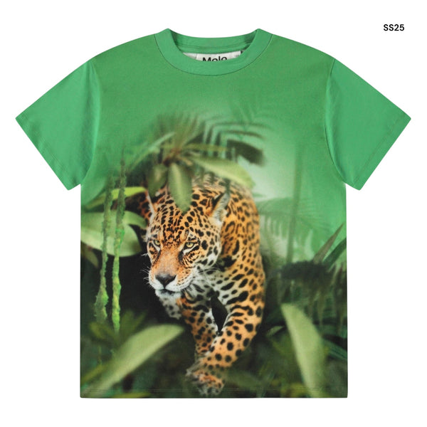 T-shirt verde con stampa all over per bambino