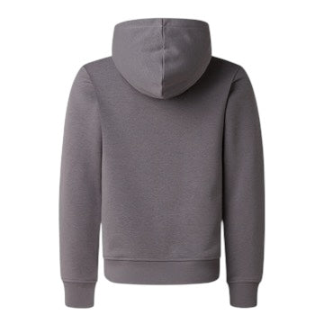 Felpa grigia con logo per bambini The North Face NF0A8G1Y0UZ1 0UZ1 