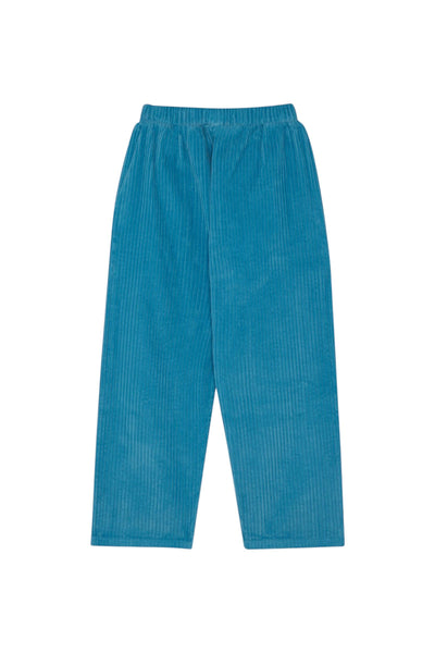 Pantalone azzuro in velluto a coste per bambini The Campamento TC-AW25-89 LIGHT BLUE 