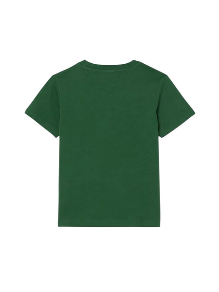 T-shirt verde con logo per bambino Lacoste 947025 F9W 