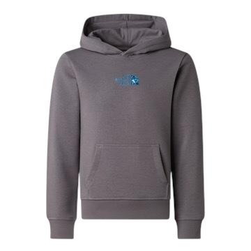 Felpa grigia con logo per bambini The North Face NF0A8G1Y0UZ1 0UZ1 