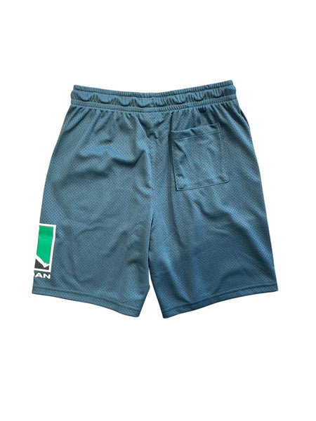 Shorts in mesh verde petrolio con logo per bambino Jordan 95F475 EA0 