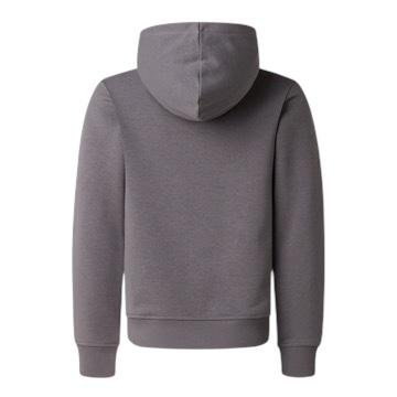Felpa grigia con logo per bambini The North Face NF0A8G1Y0UZ1 0UZ1 