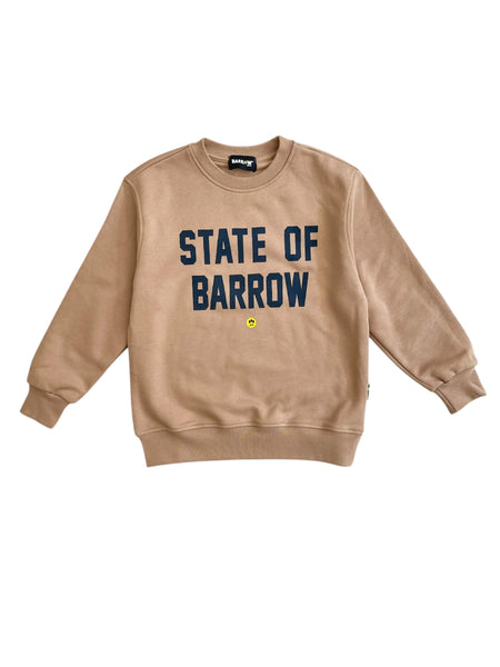 Felpa cognac con logo per bambini Barrow F5BKJUSW076 307 