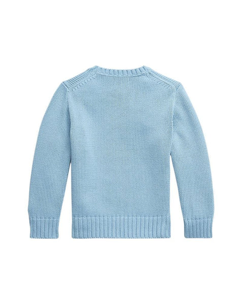 Maglione celeste con logo per neonato e bambino Ralph Lauren Kids 322970429002 CHAMBRAY BLUE 