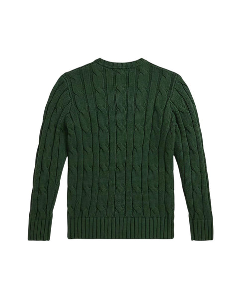 Maglia verde  in cotone a trecce per bambini Ralph Lauren Kids 323981036002 BOTTLE GREEN 